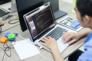 Offshore Software Developers