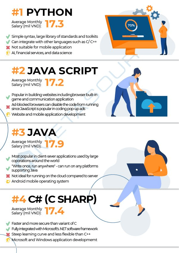 Programming Languages Available In Vietnam Metasource Vietnam